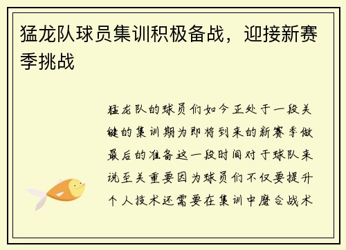 猛龙队球员集训积极备战，迎接新赛季挑战