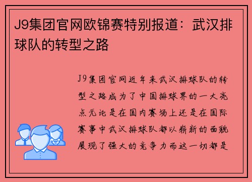 J9集团官网欧锦赛特别报道：武汉排球队的转型之路